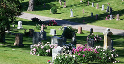 Carolina Memorial Park Funerals
